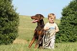 ENFANT ET CHIEN 253